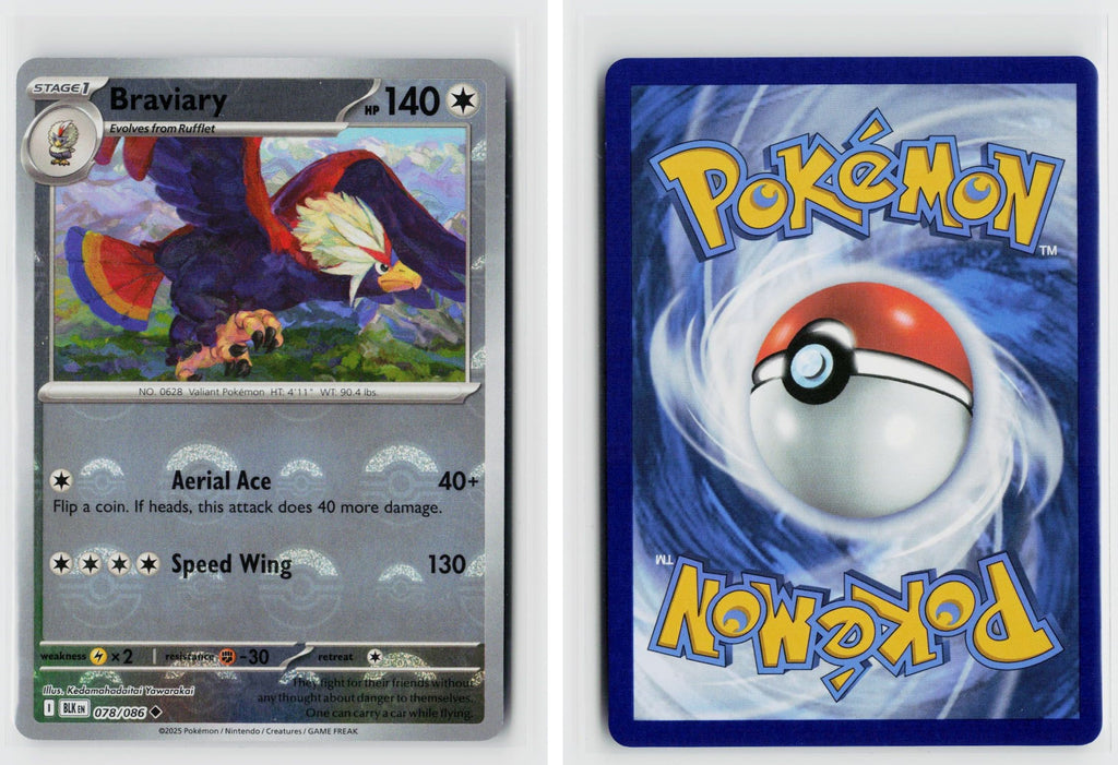 Front + Back scan