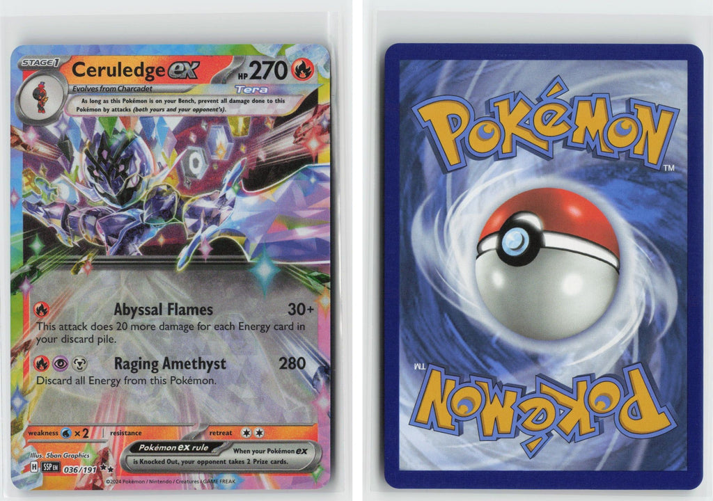 Front + Back scan