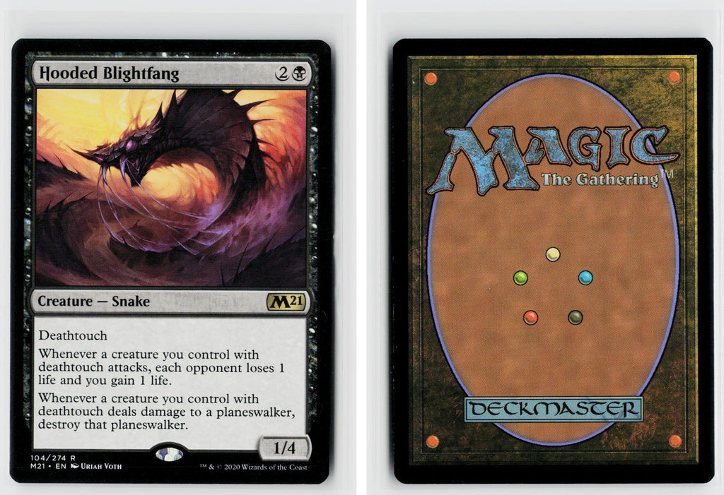 Front + Back scan