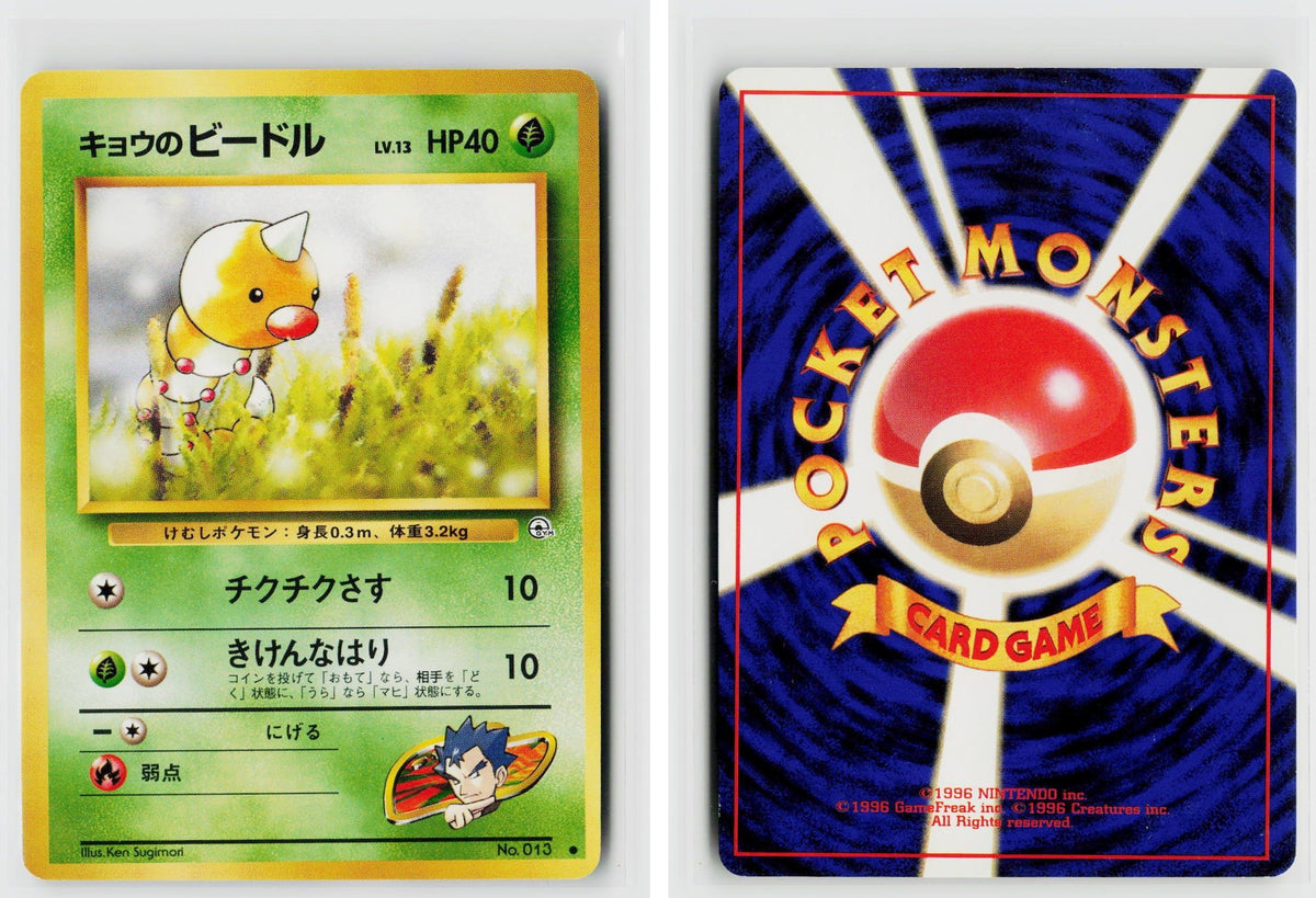 Front + Back scan