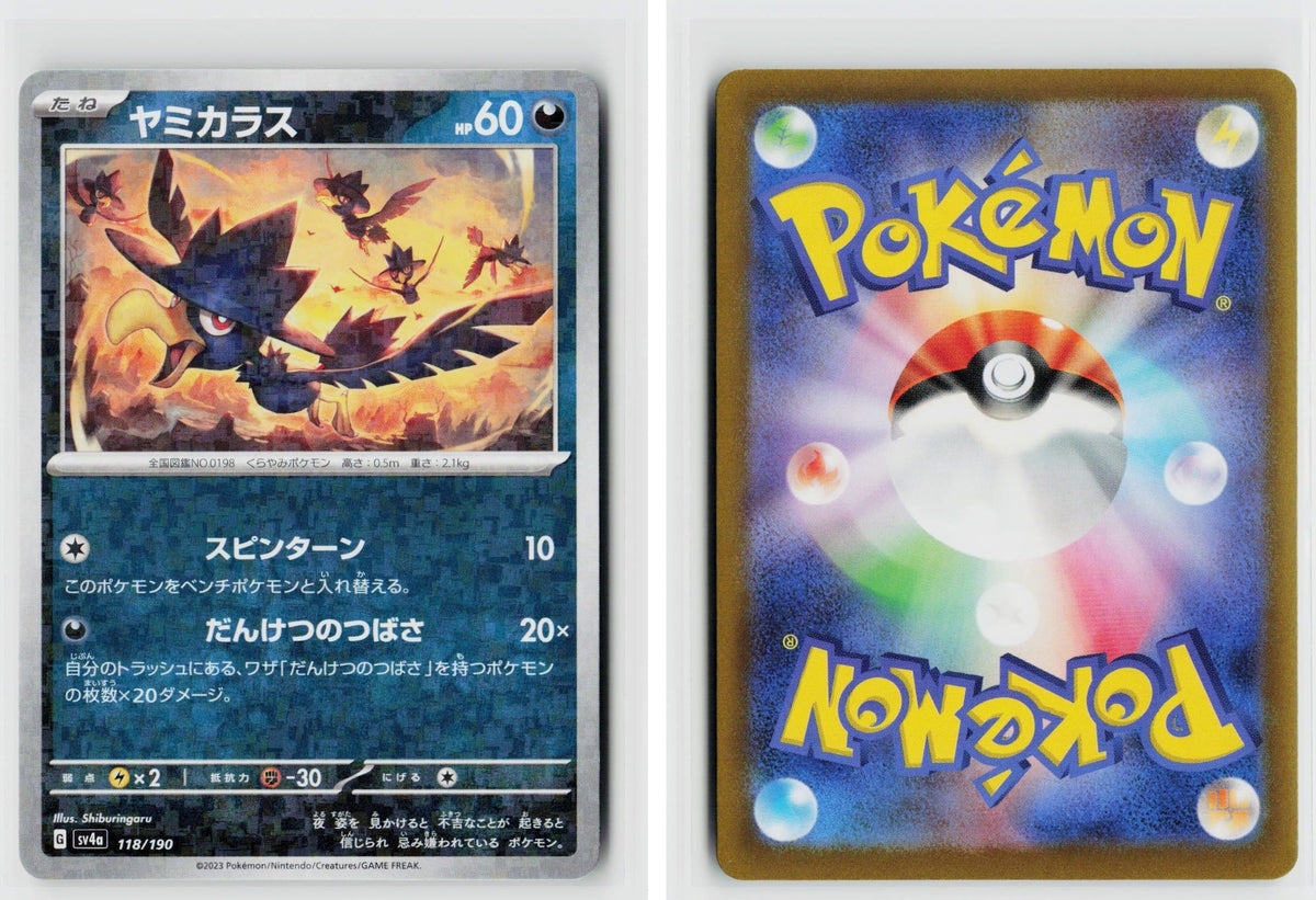 Front + Back scan