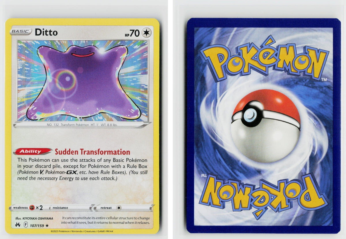 Front + Back scan