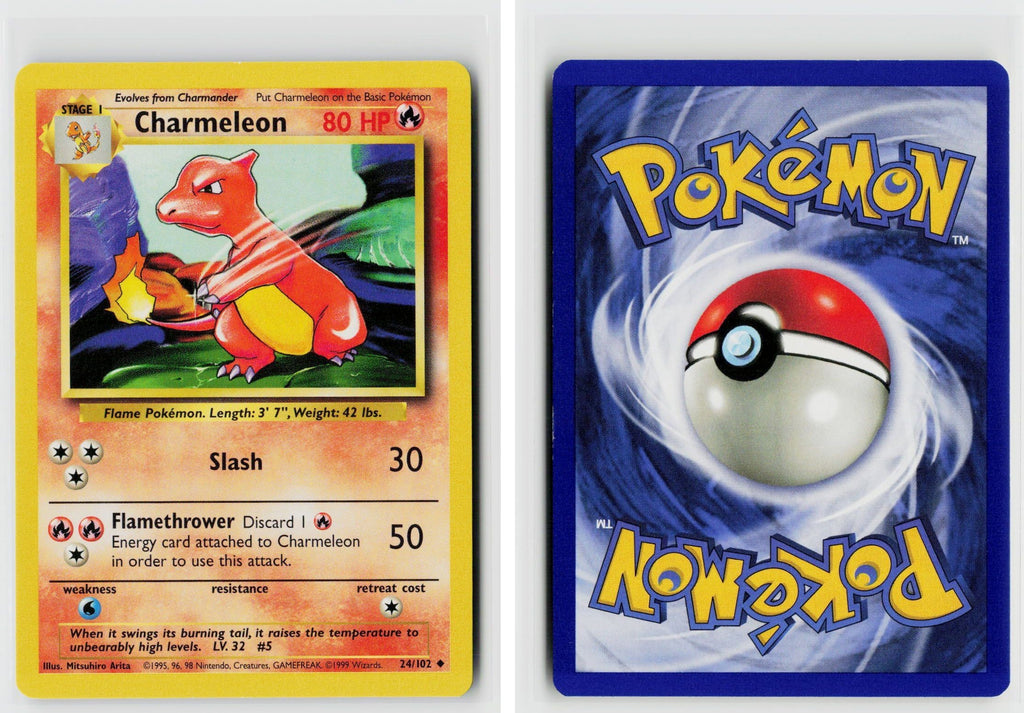 Front + Back scan