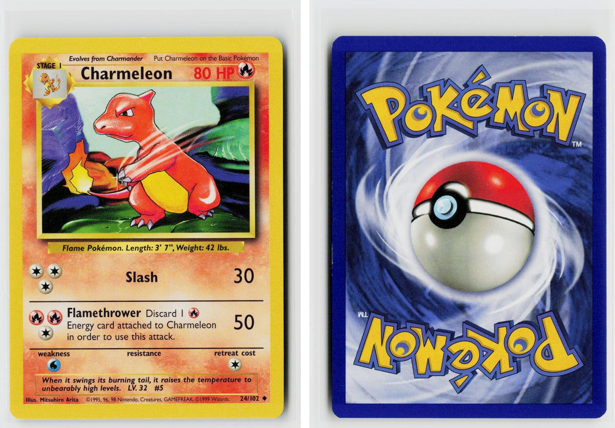 Front + Back scan
