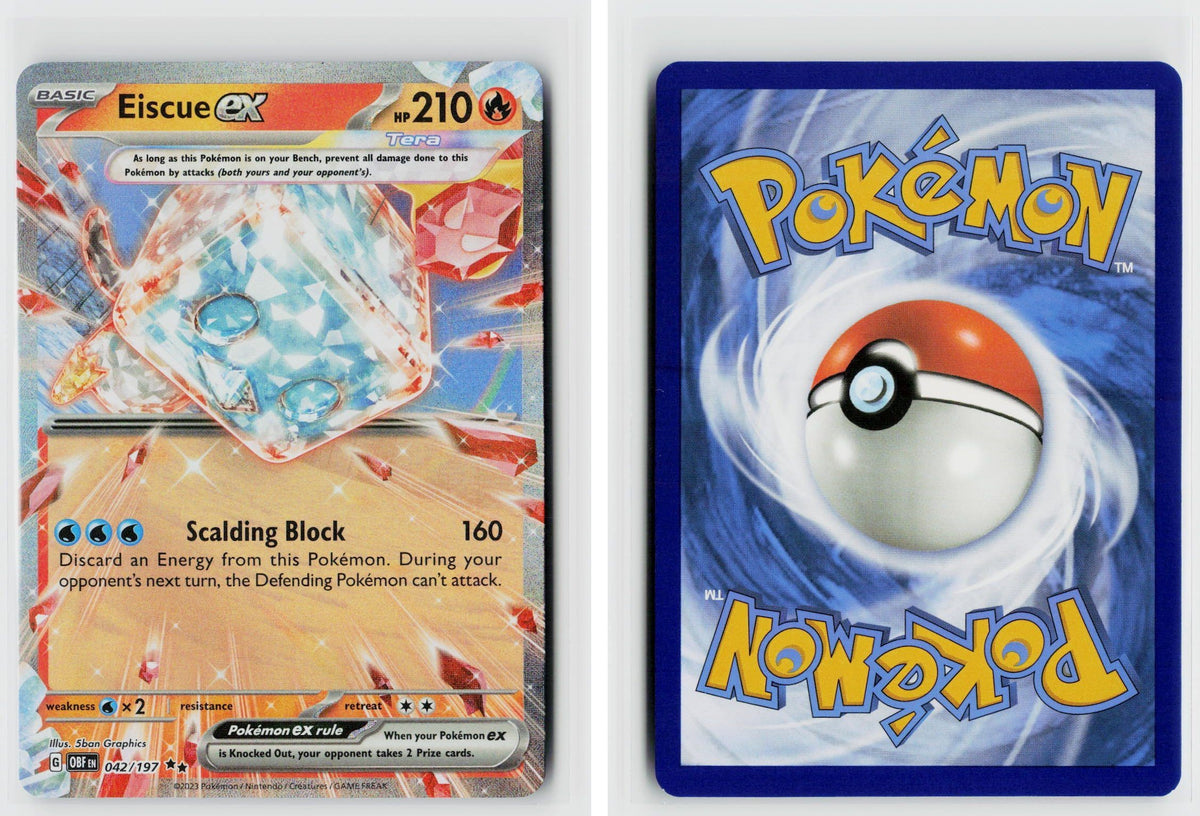 Front + Back scan