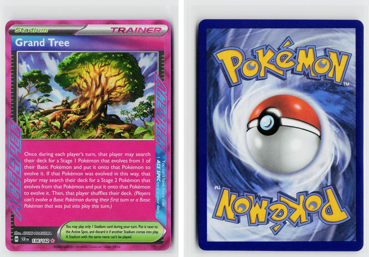 Front + Back scan
