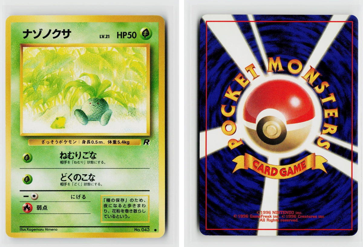Front + Back scan