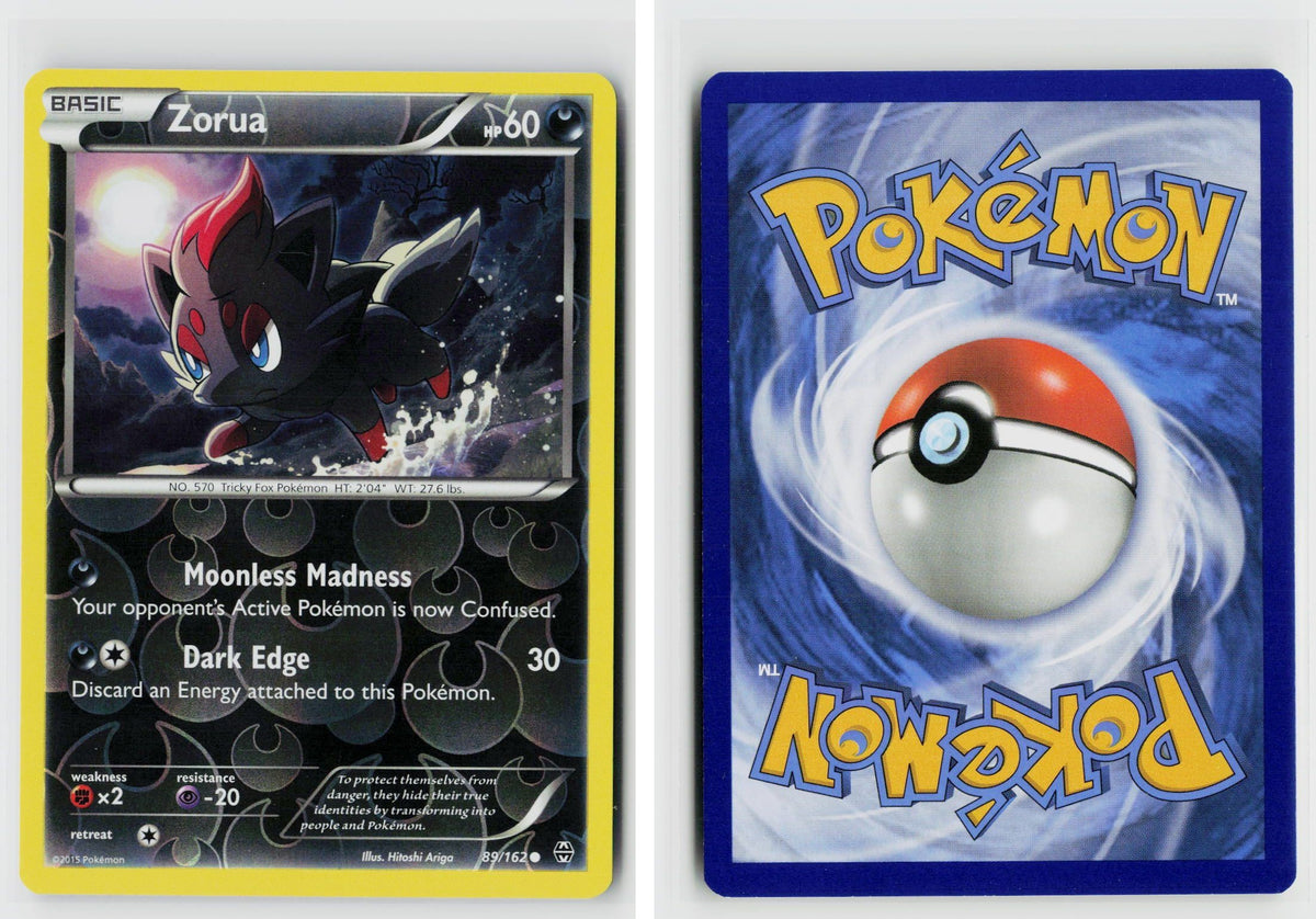 Front + Back scan