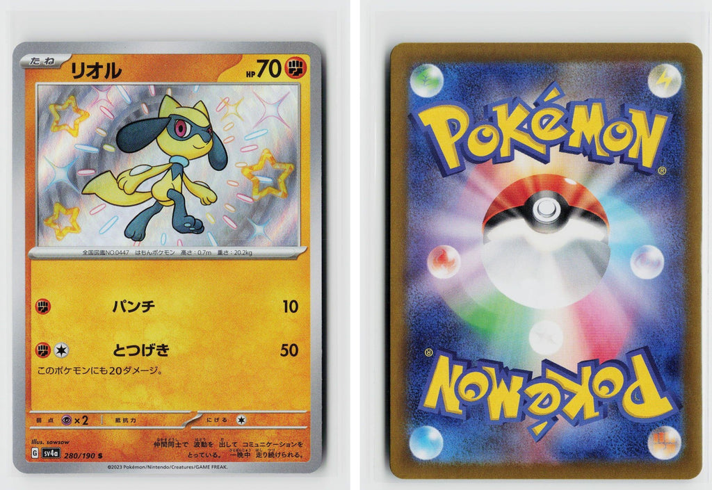 Front + Back scan