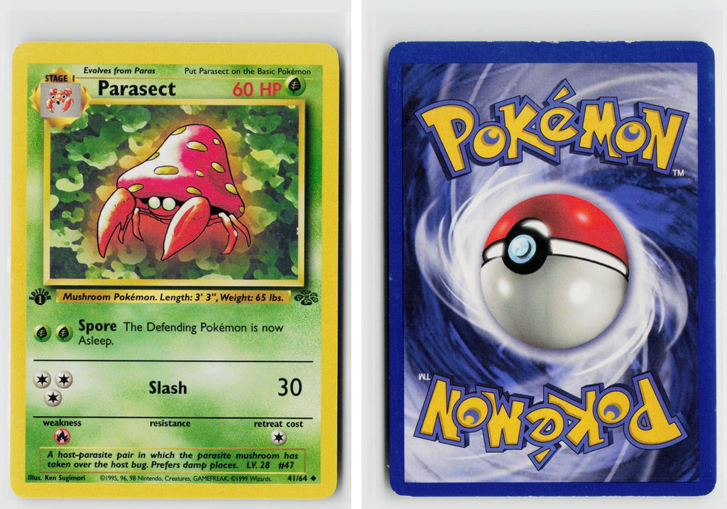 Front + Back scan