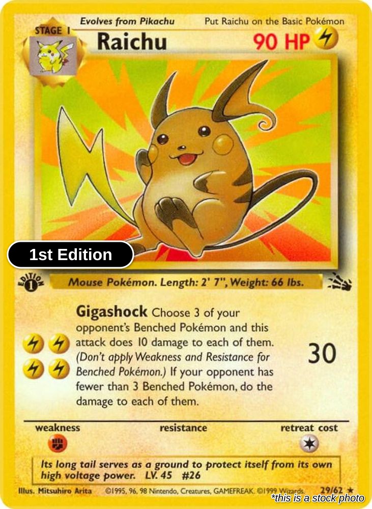 Raichu (29)