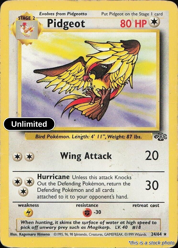 Pidgeot (24)