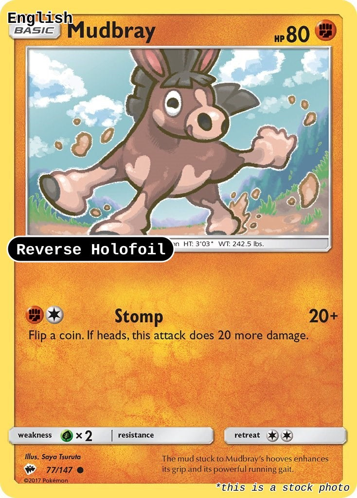 Mudbray
