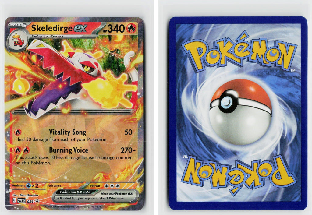 Front + Back scan