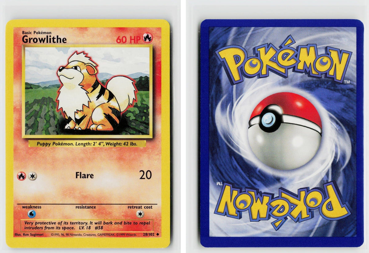 Front + Back scan