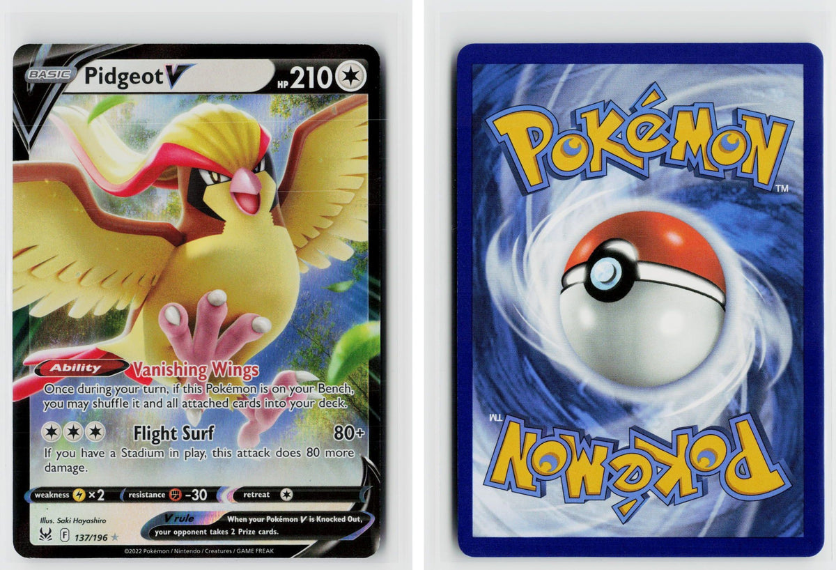 Front + Back scan