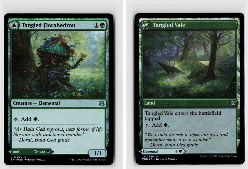 Front + Back scan