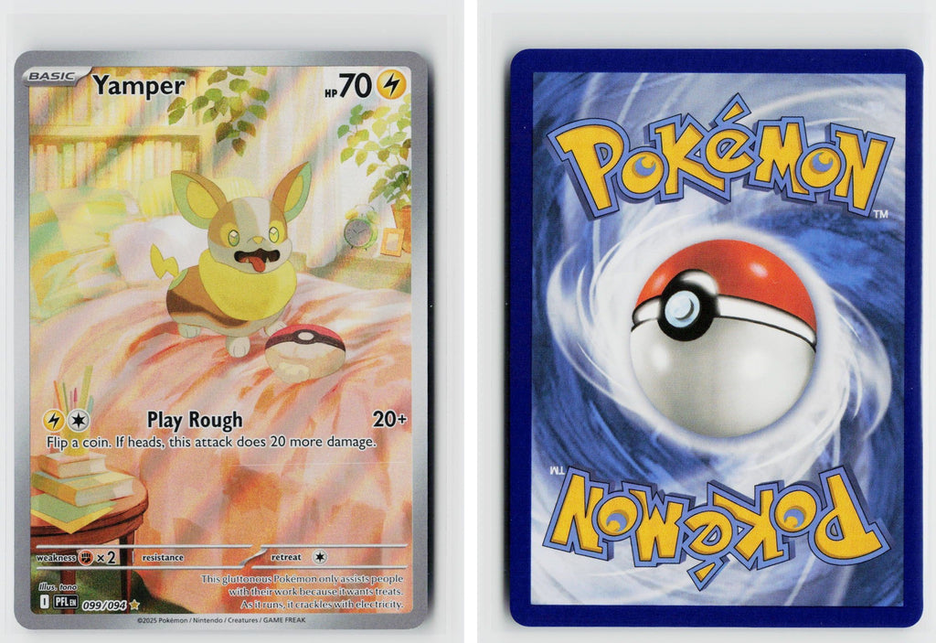 Front + Back scan