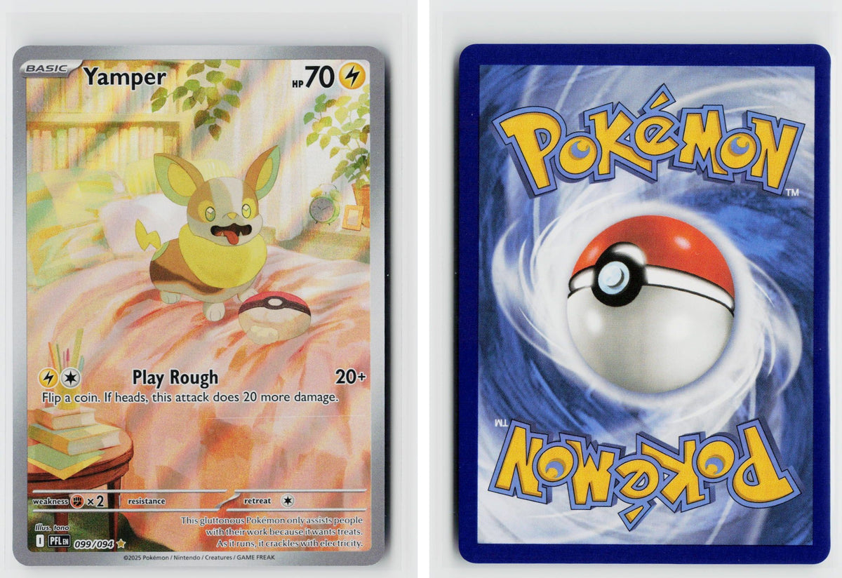 Front + Back scan