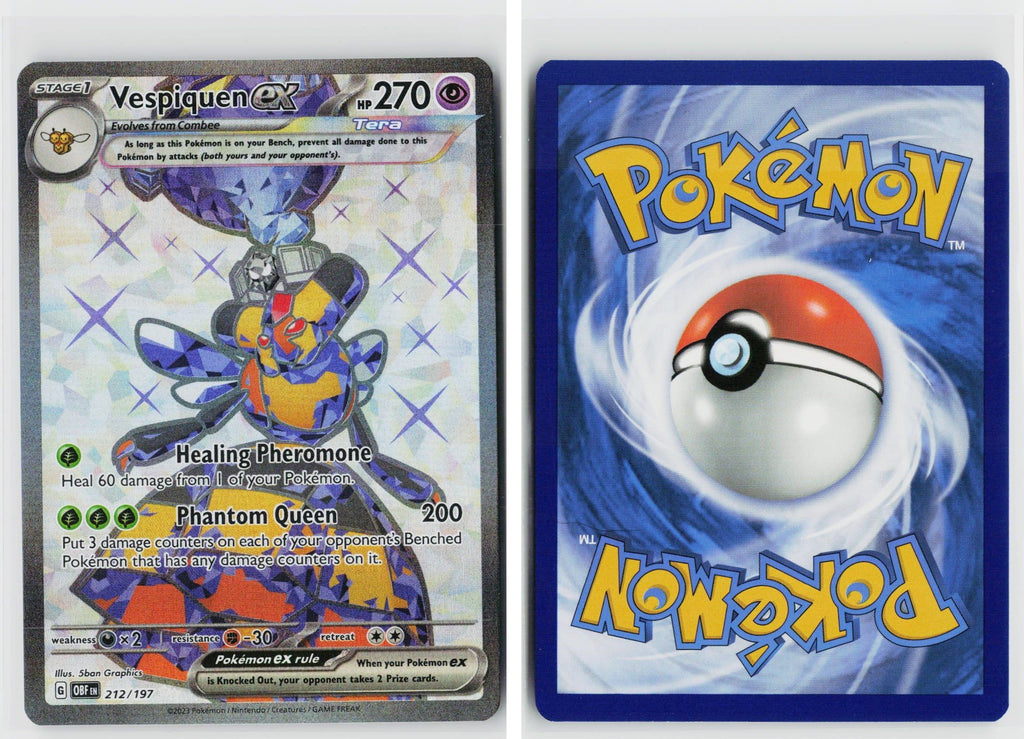 Front + Back scan