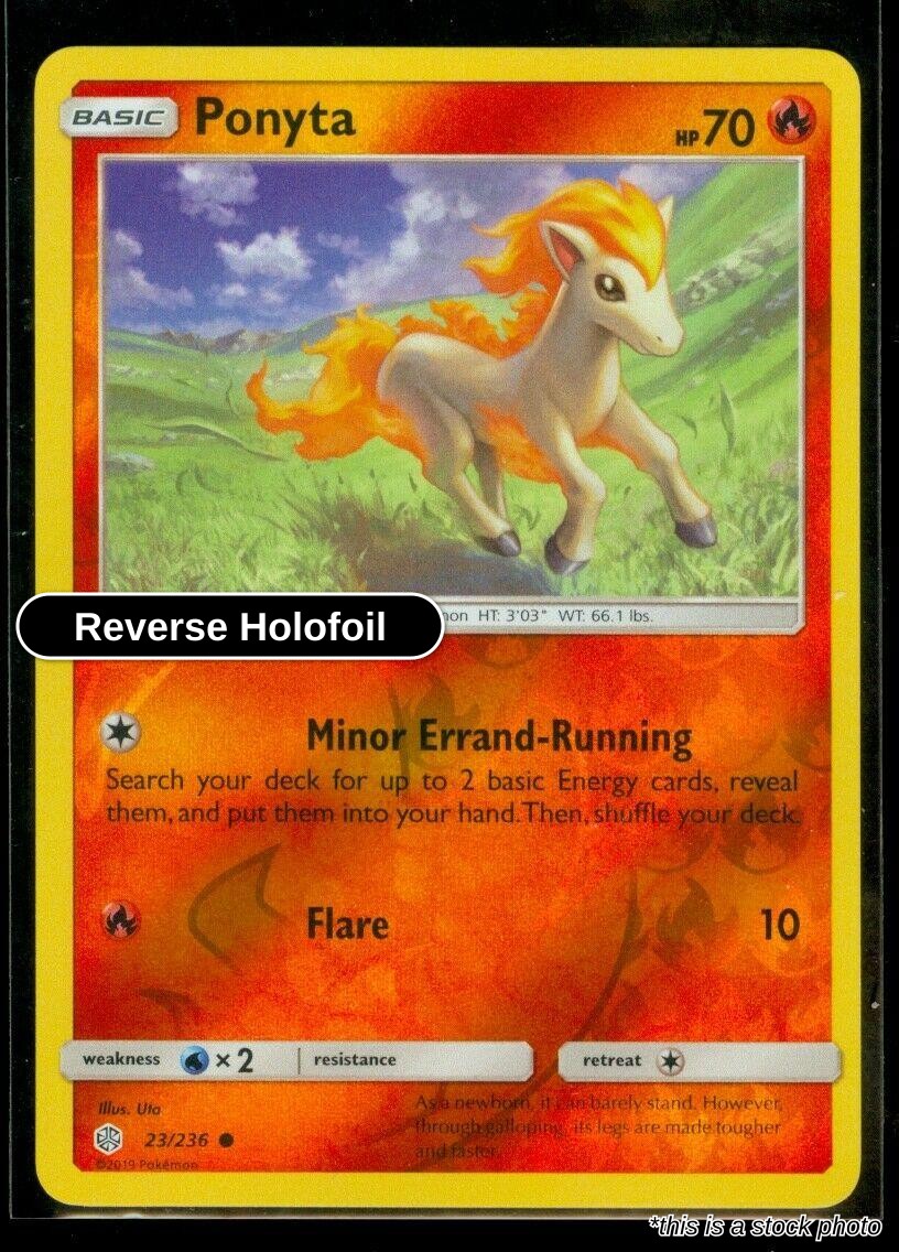 Ponyta
