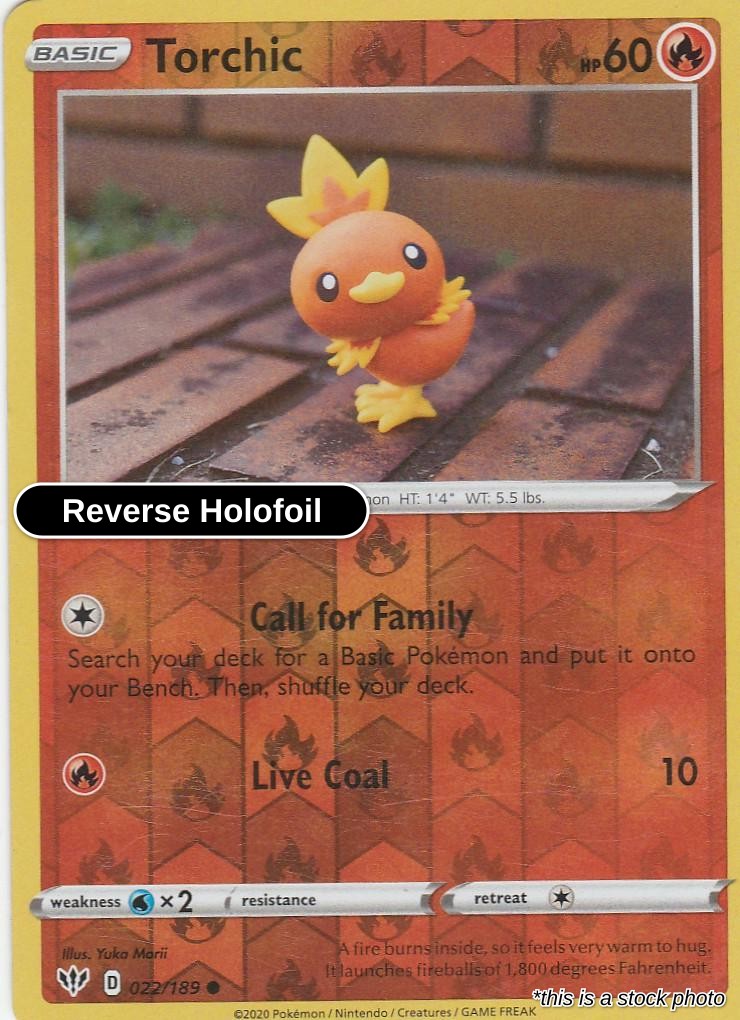 Torchic