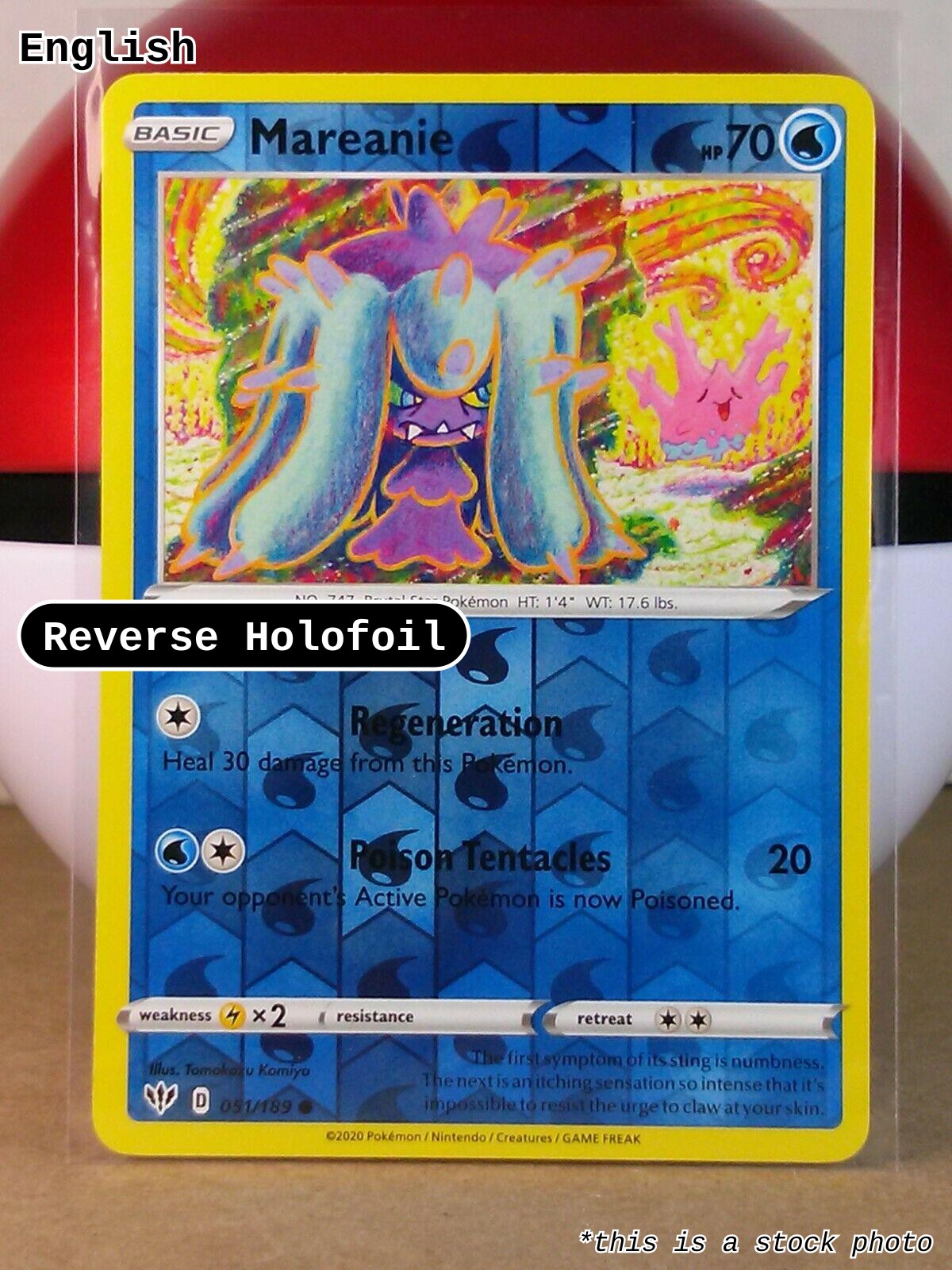 Mareanie