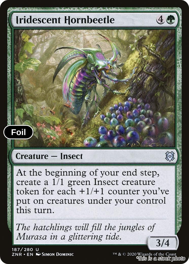 Iridescent Hornbeetle