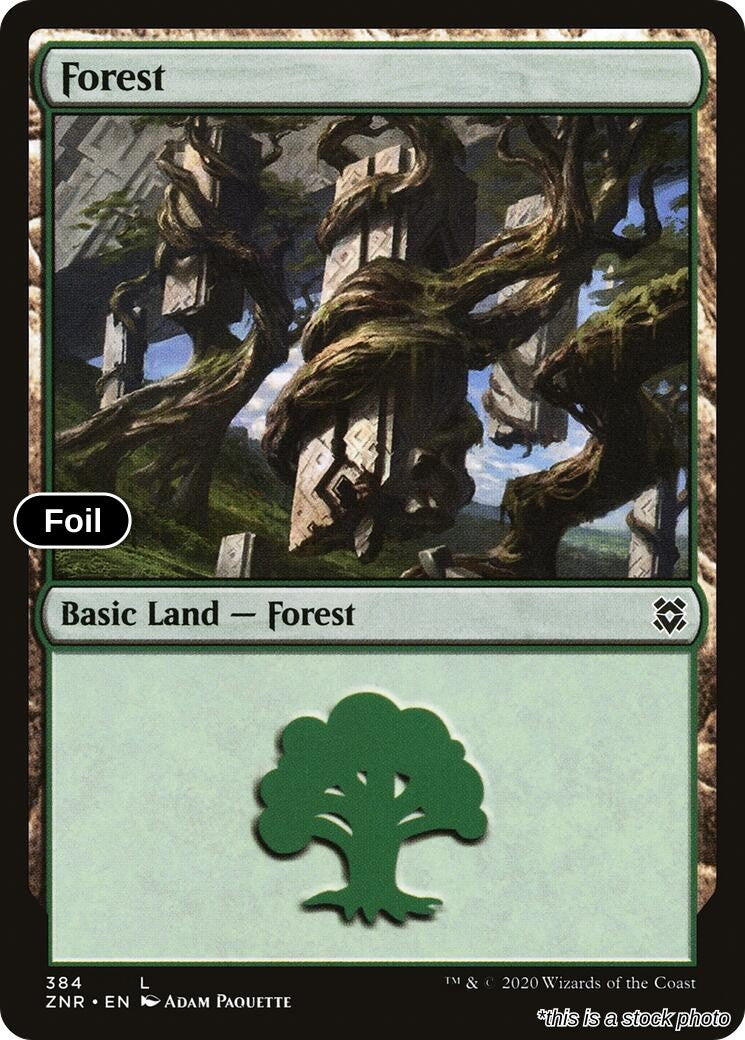 Forest