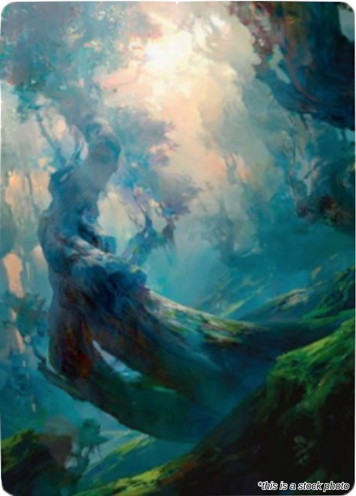 Forest Art Card (21/81)