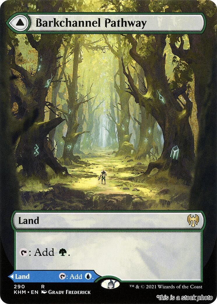 Barkchannel Pathway (Borderless)