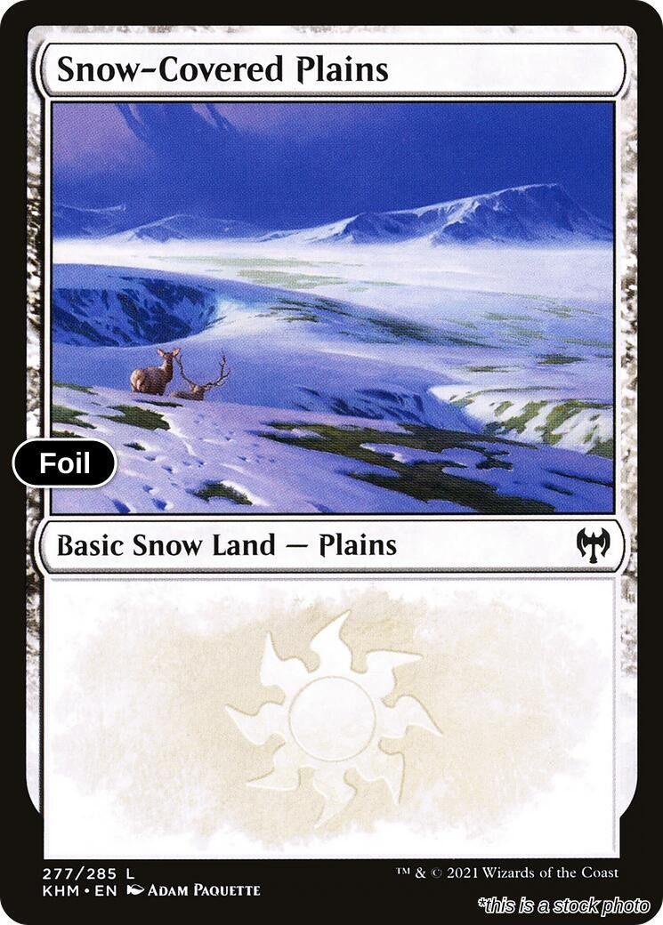 Snow-Covered Plains (277)