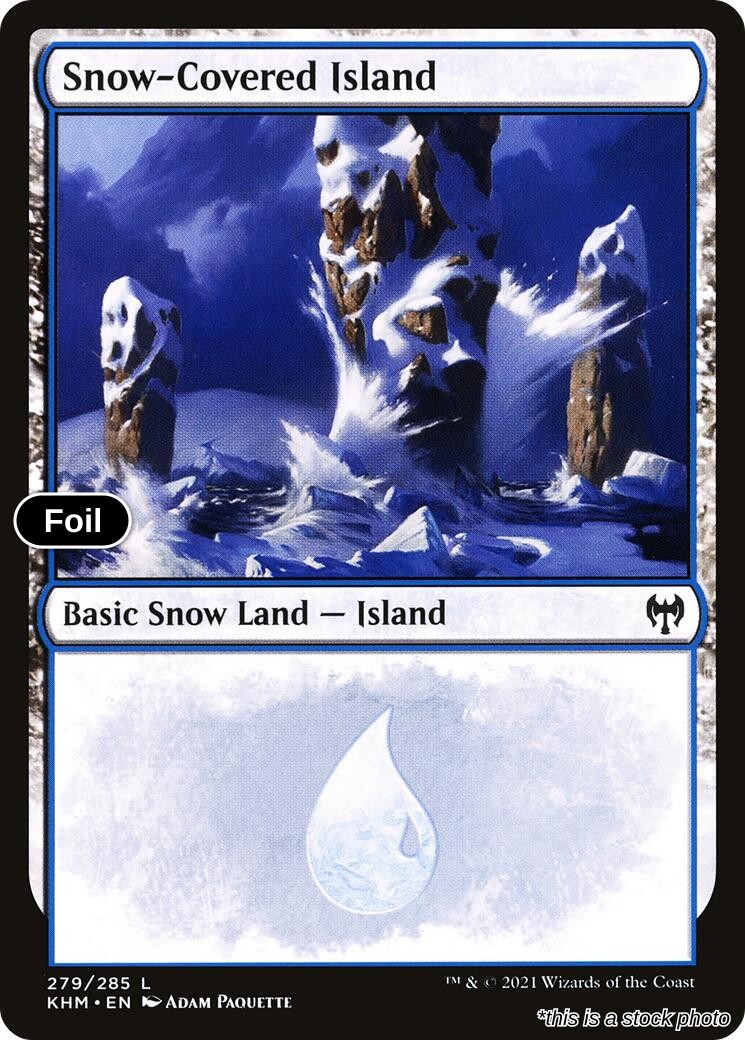 Snow-Covered Island (279)