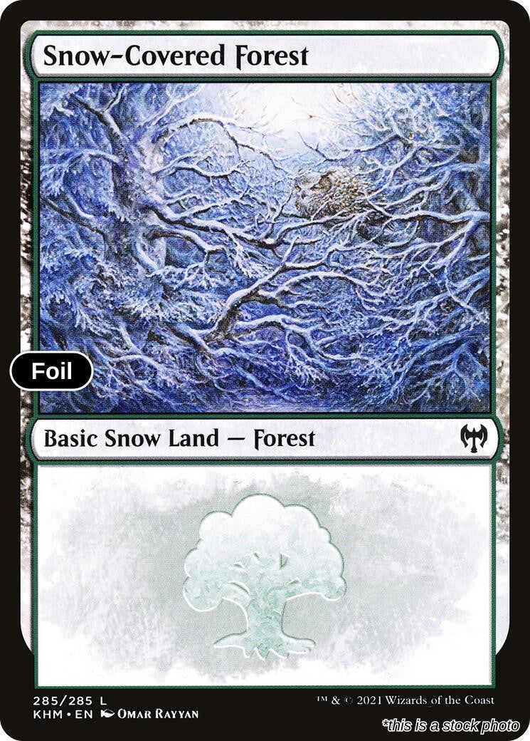 Snow-Covered Forest (285)