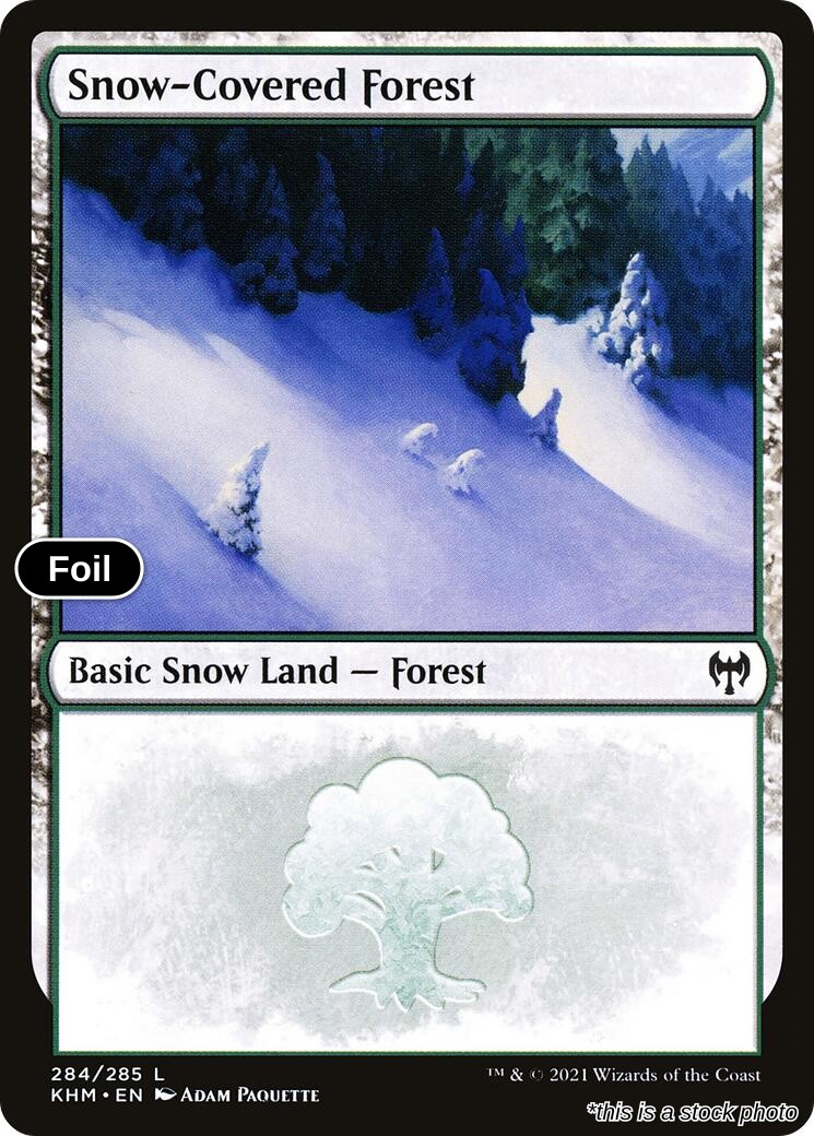 Snow-Covered Forest (284)