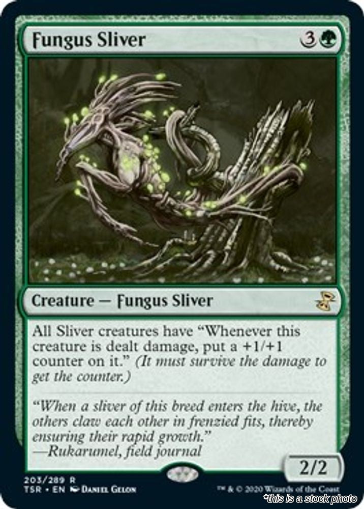 Fungus Sliver