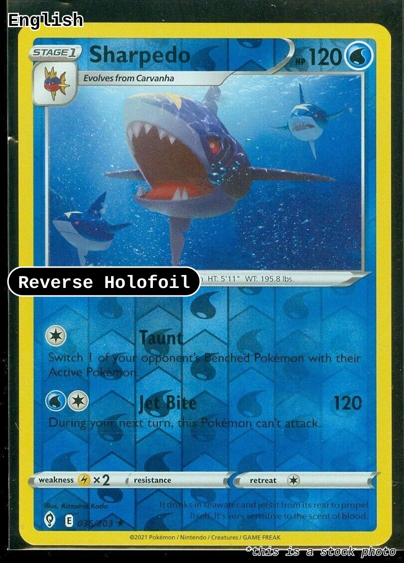 Sharpedo