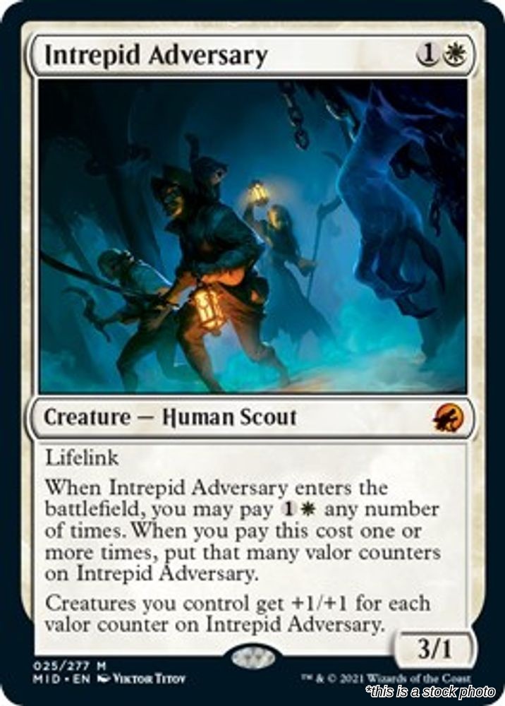 Intrepid Adversary