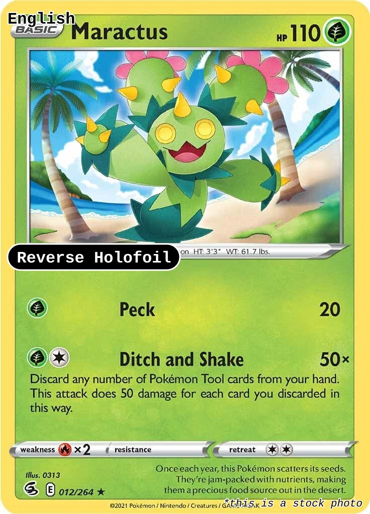 Maractus