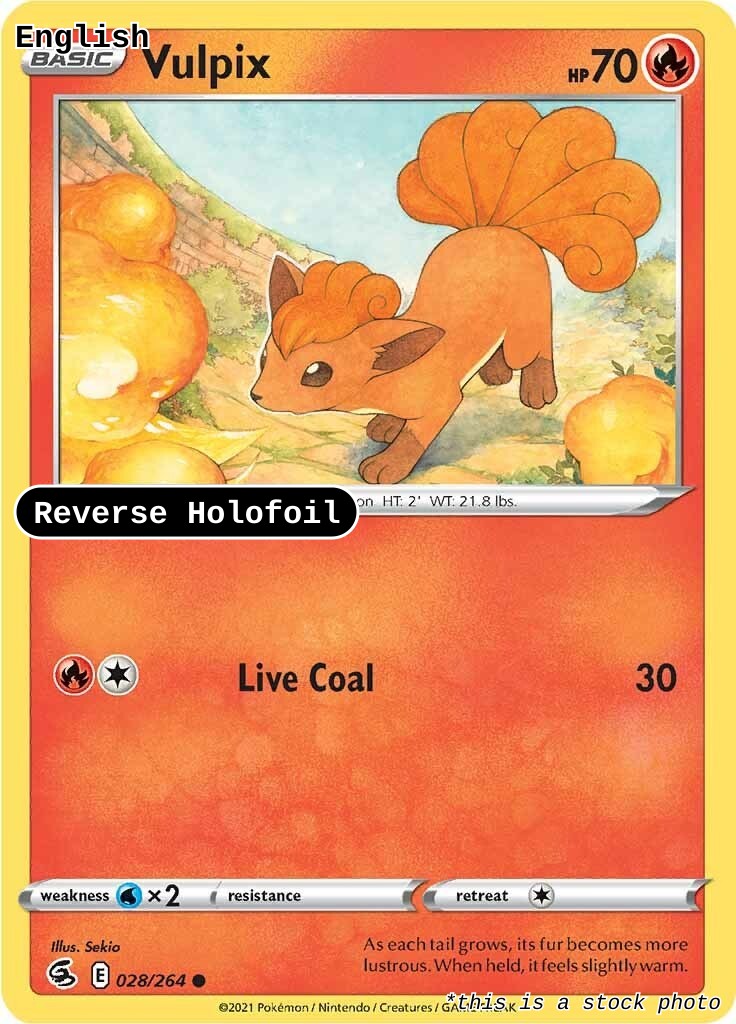 Vulpix (28)