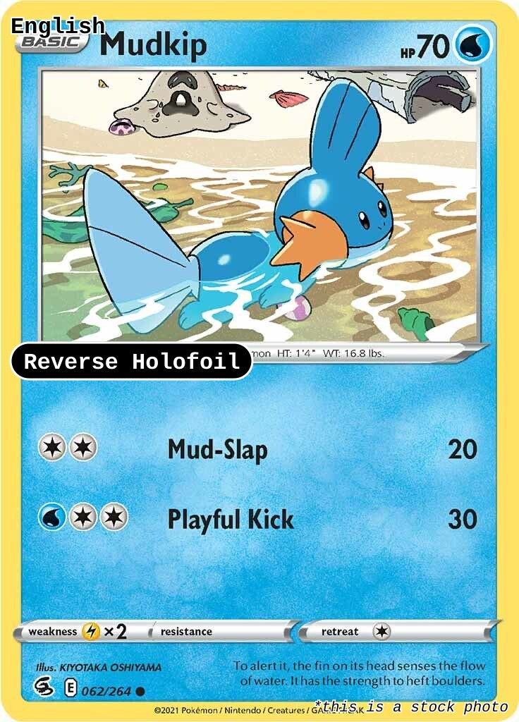 Mudkip