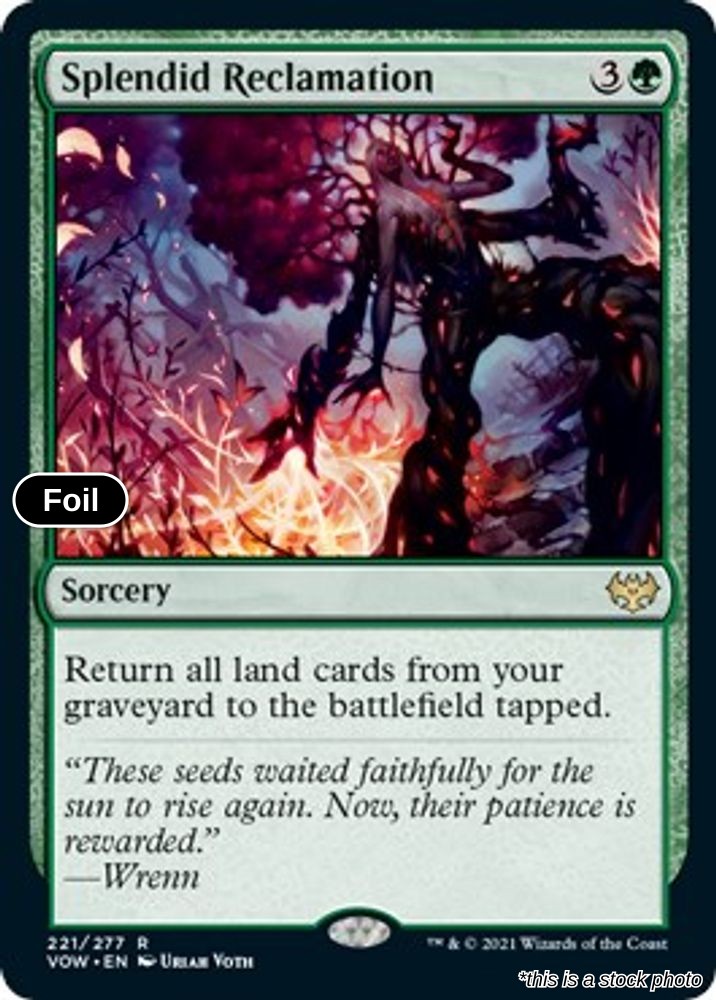 Splendid Reclamation