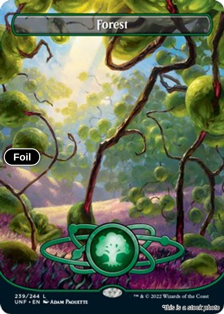 Forest (239) (Borderless)