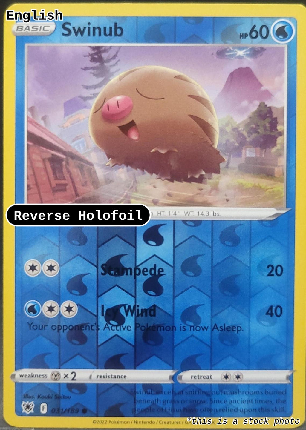 Swinub