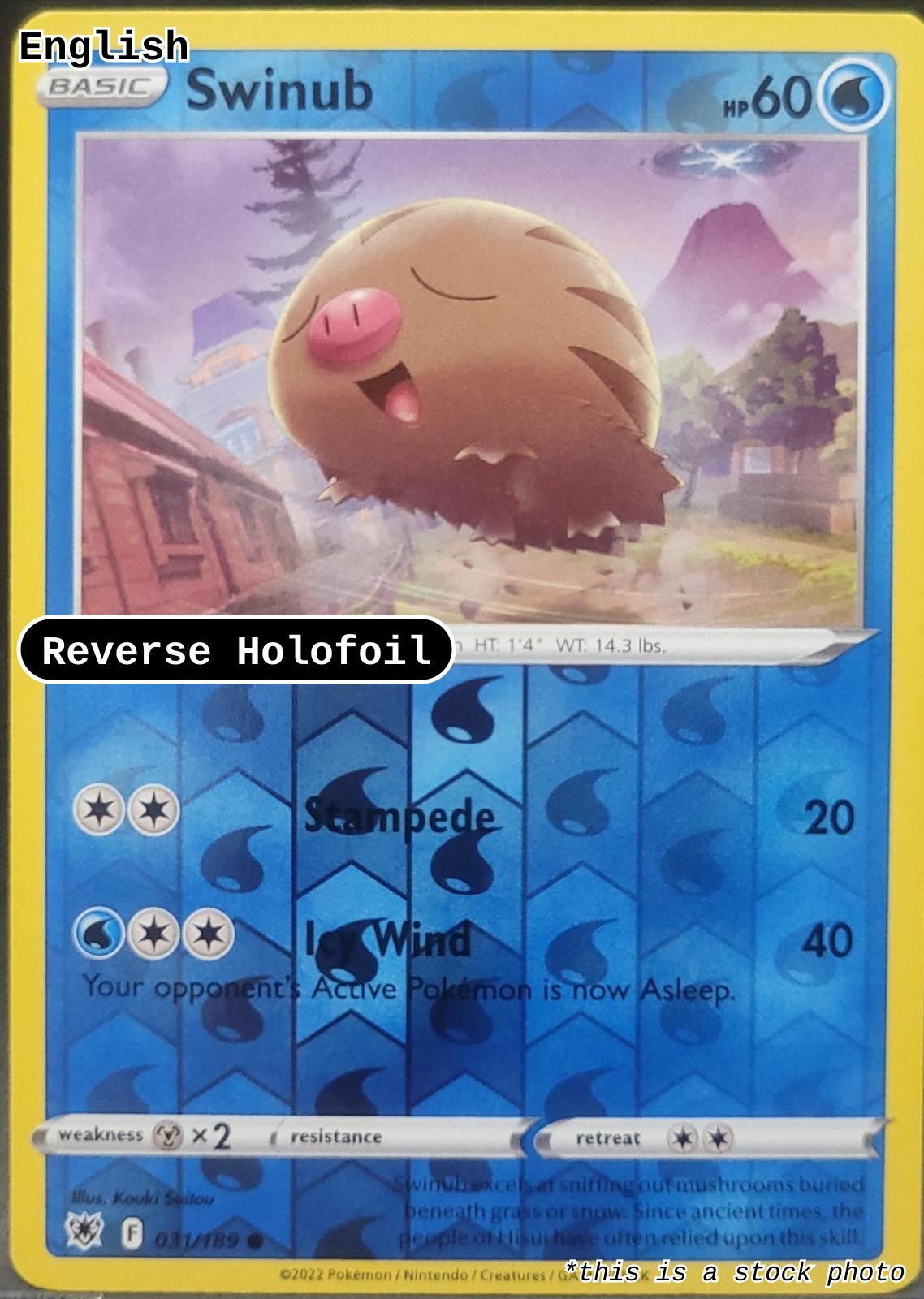 Swinub