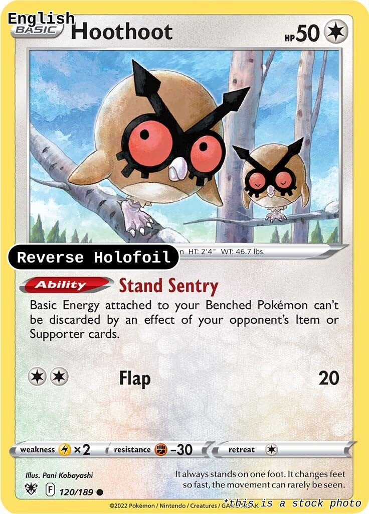 Hoothoot