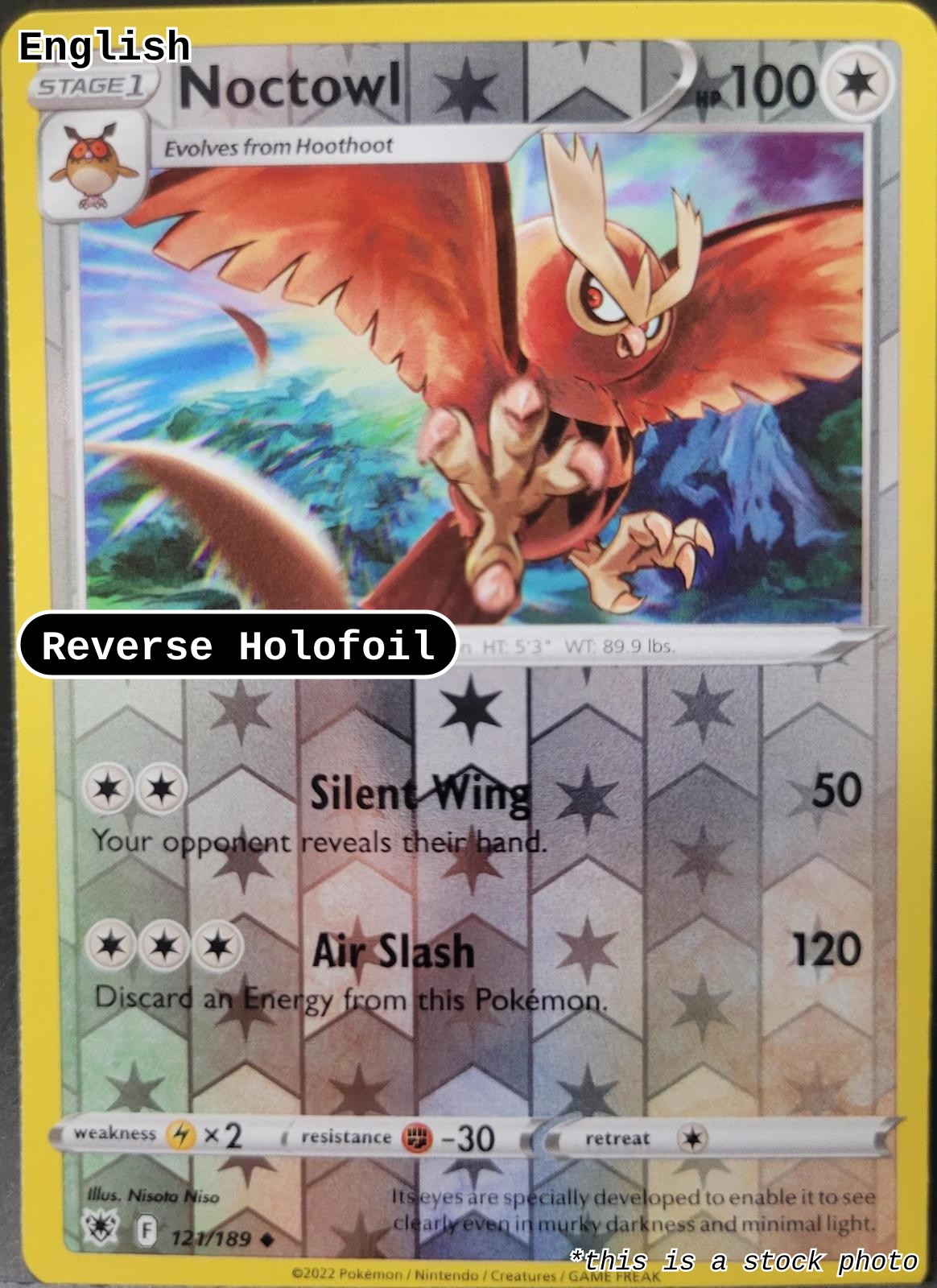 Noctowl