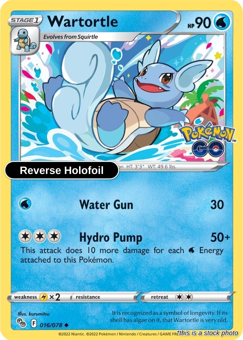 Wartortle