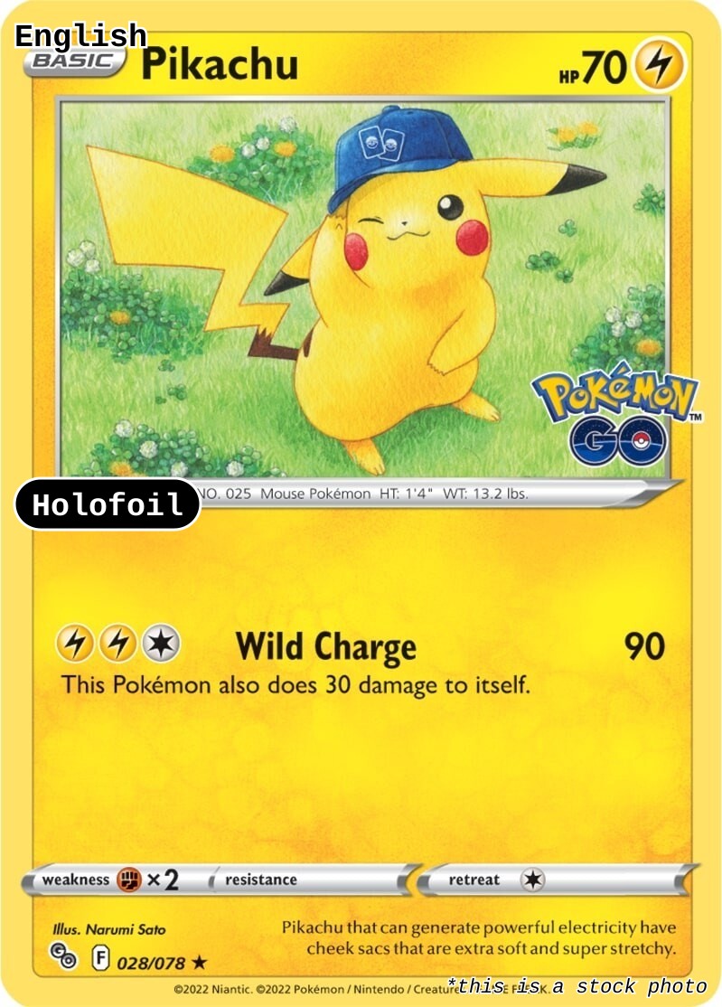 Pikachu (28)