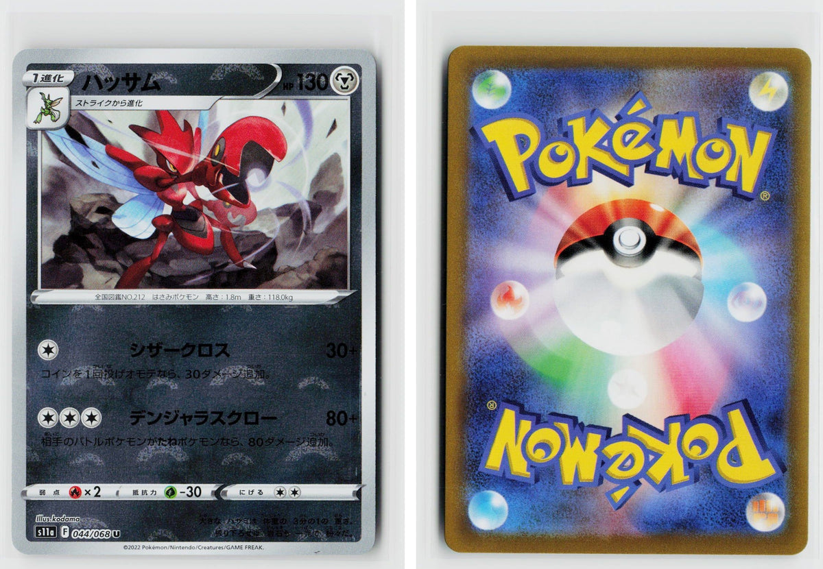 Front + Back scan
